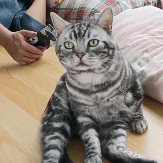 红姐