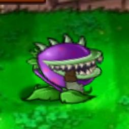 爱吃零食的大嘴花