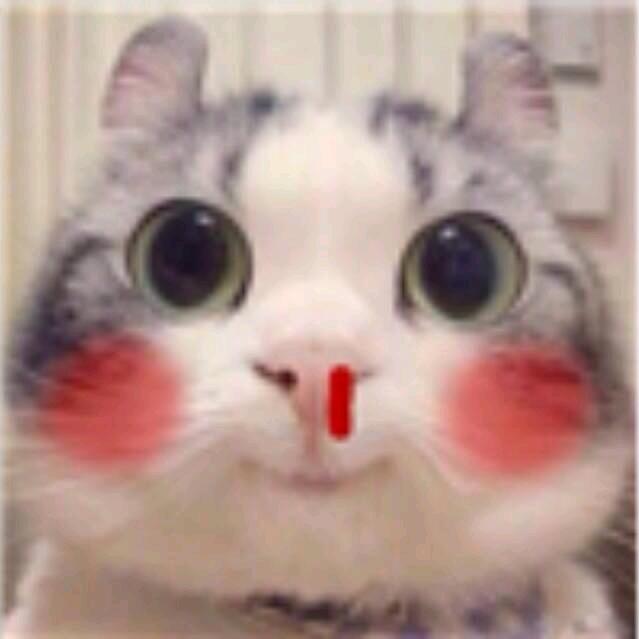曾阿牛哟