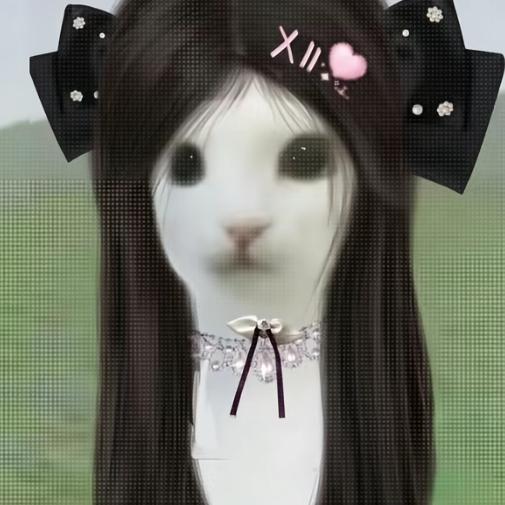 燕宝贝