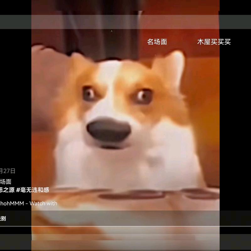 随机路人已上班看我名字的人是gay主波也