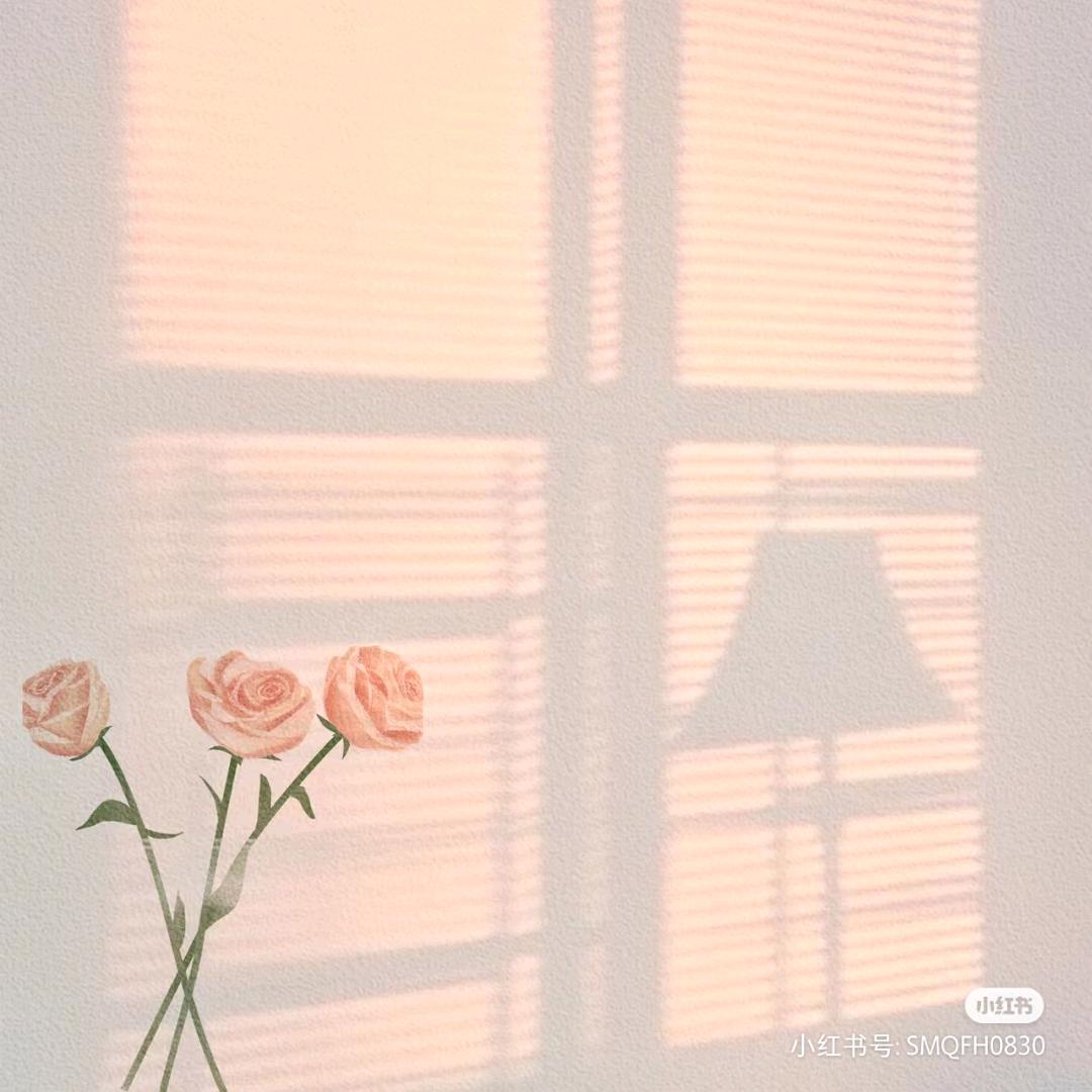 怡安💕💞