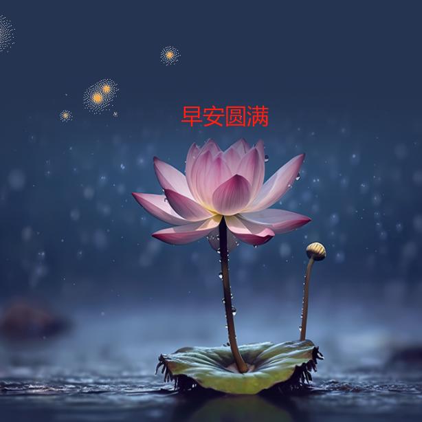 莫莫姐
