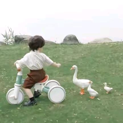小小吴