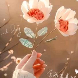 时光荏苒，岁月如梭