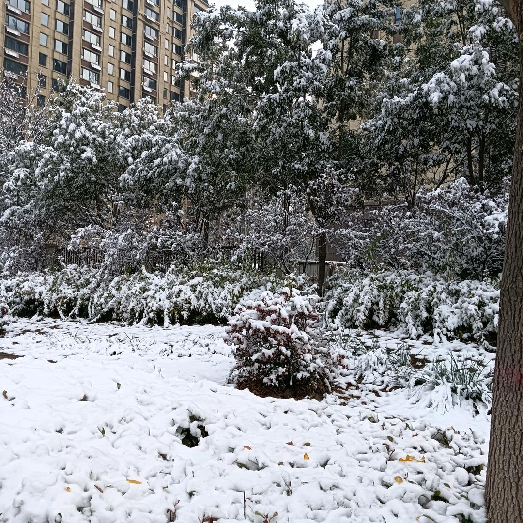 用户1466731535852明天更美丽