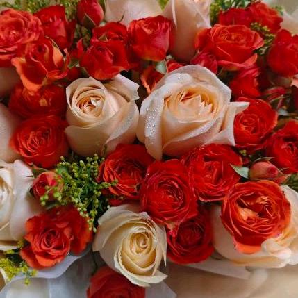 ❤小河南✔️桐柏徐大