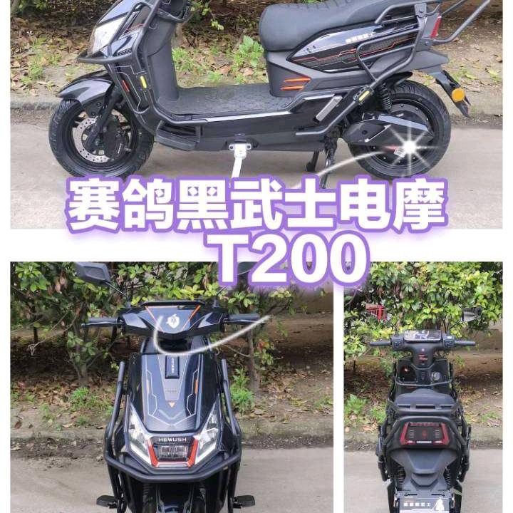 赛鸽黑武士罗小龙