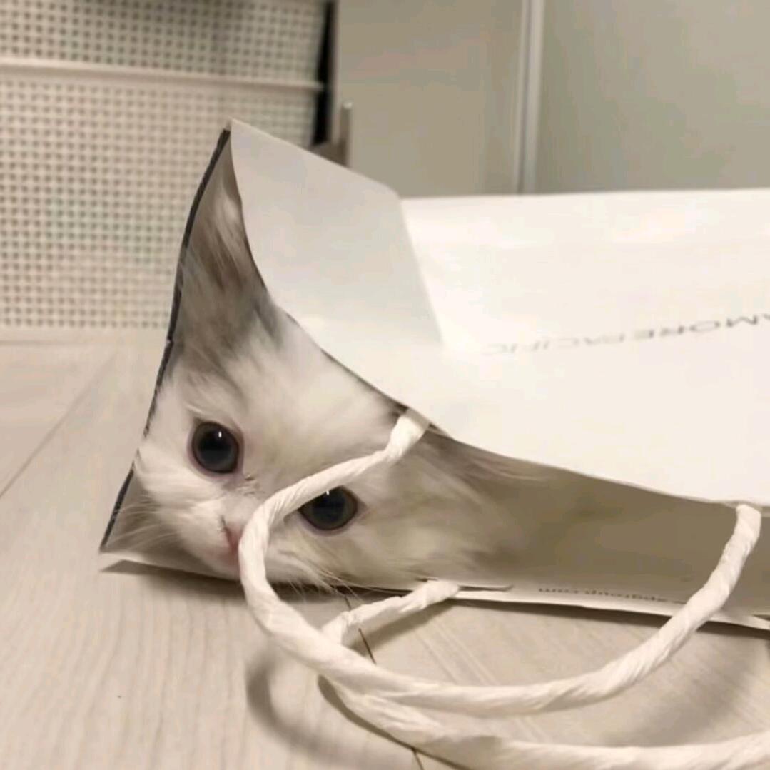 醉时远