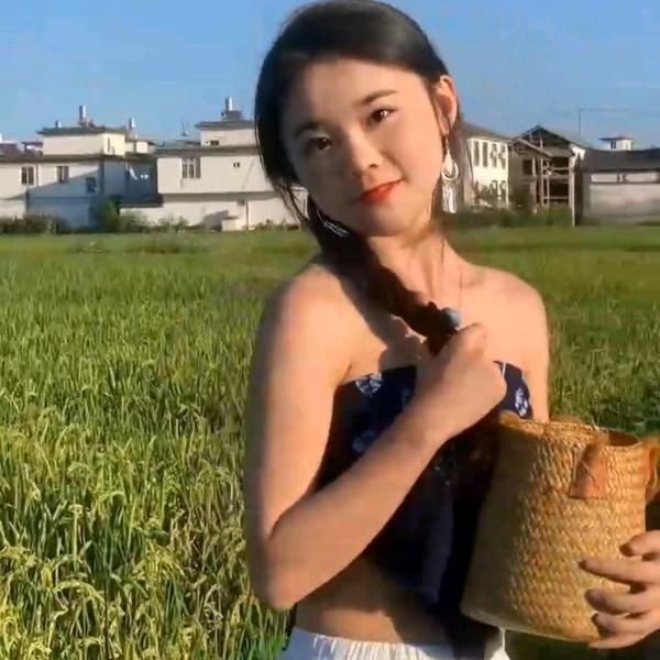 燕子