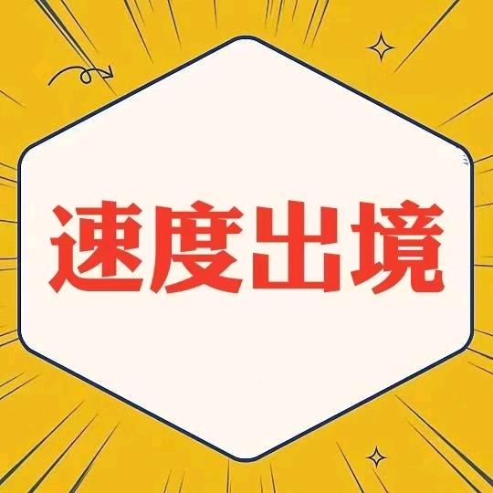莱西通畅达（援建)（欧洲）
