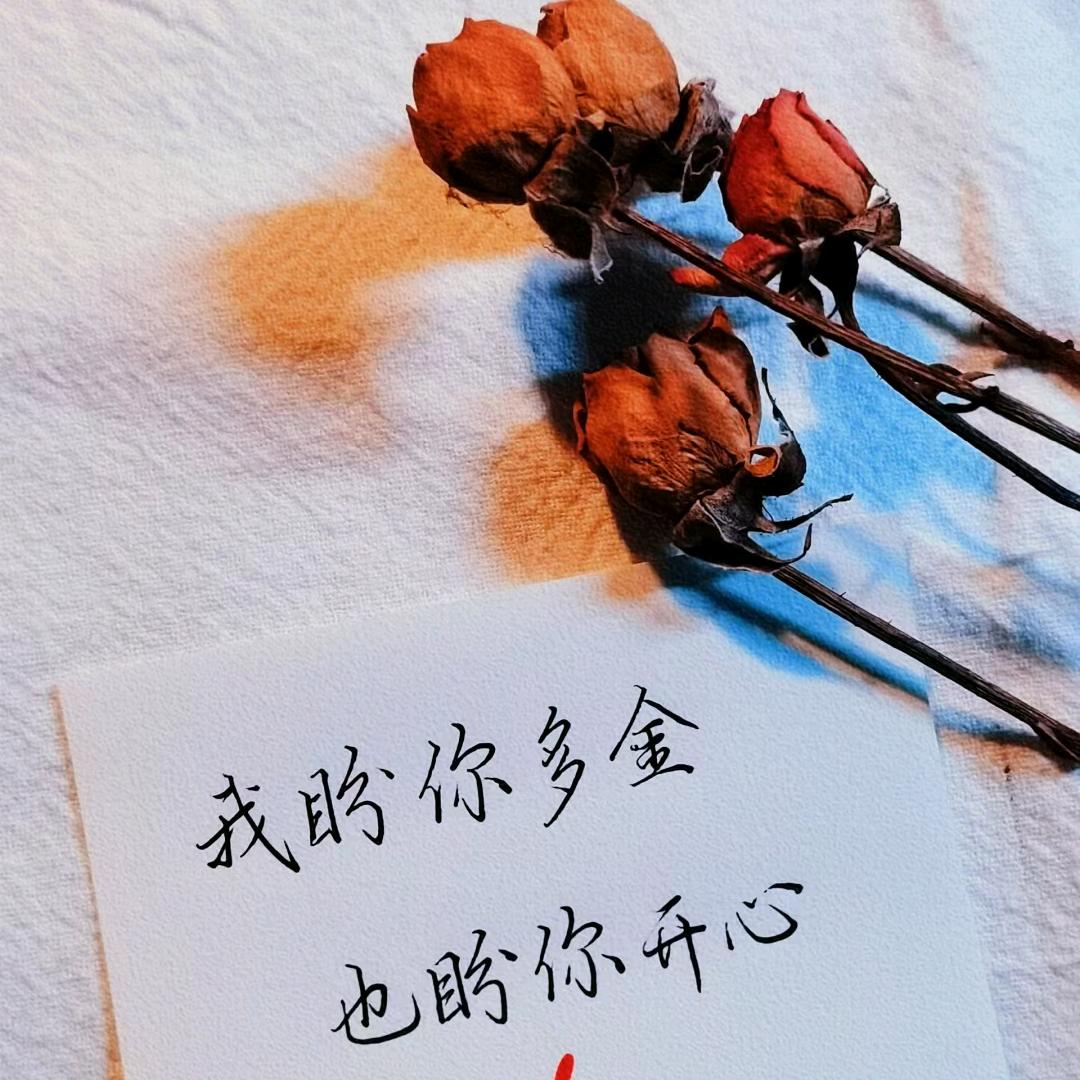 孤独与自由