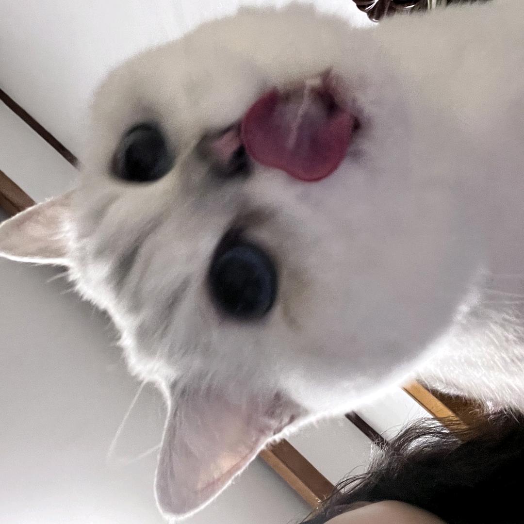 。。