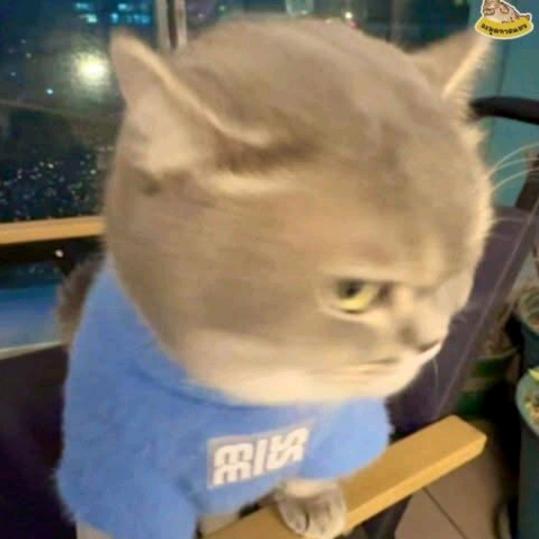 四方声光设备租赁