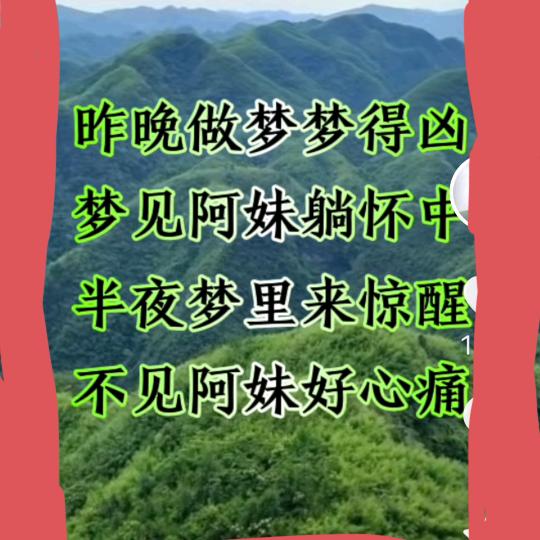 康哥哥819