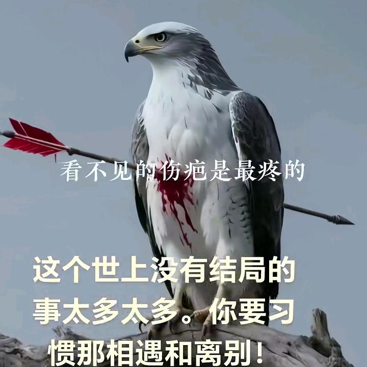 🦂一帘幽梦🦂