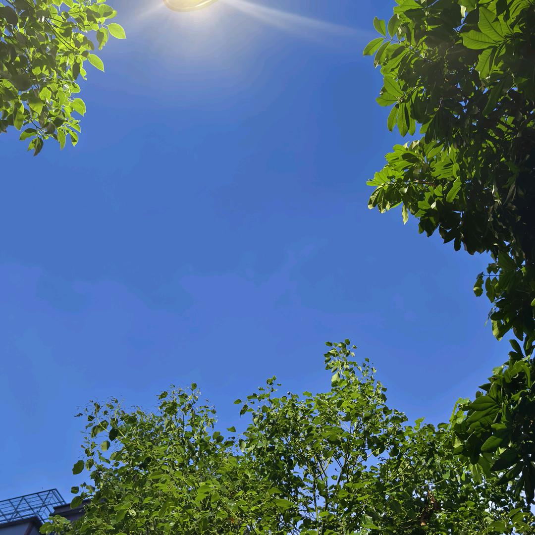 沫