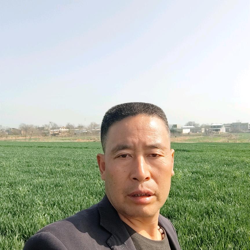 今晚无星