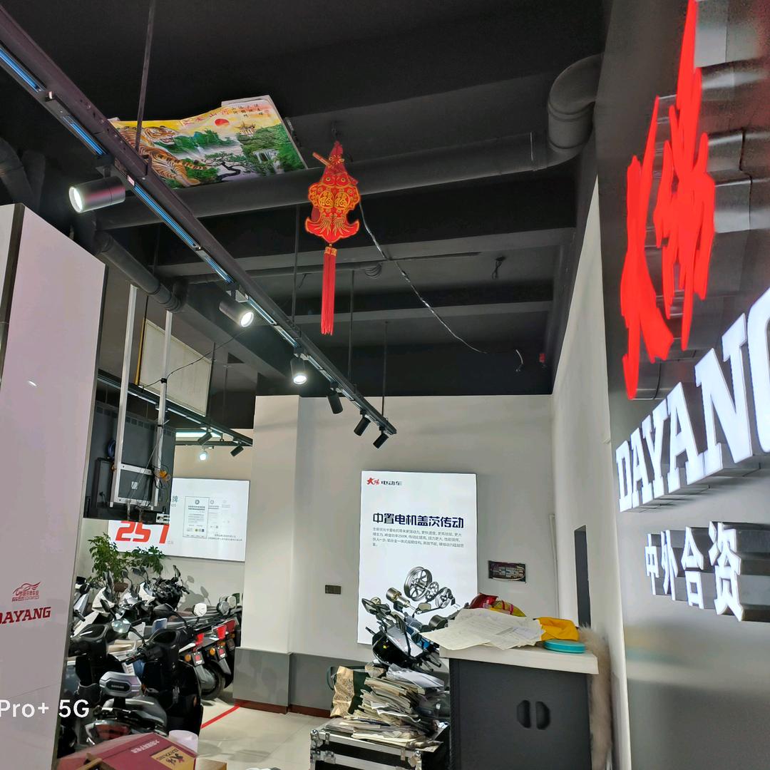 大阳电动车(赣榆店)