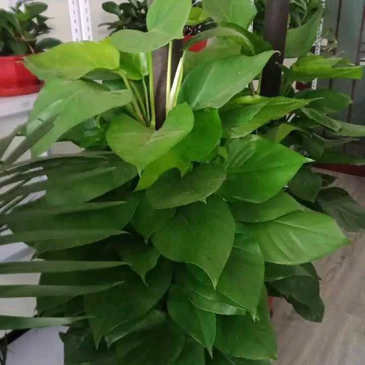 为你护航