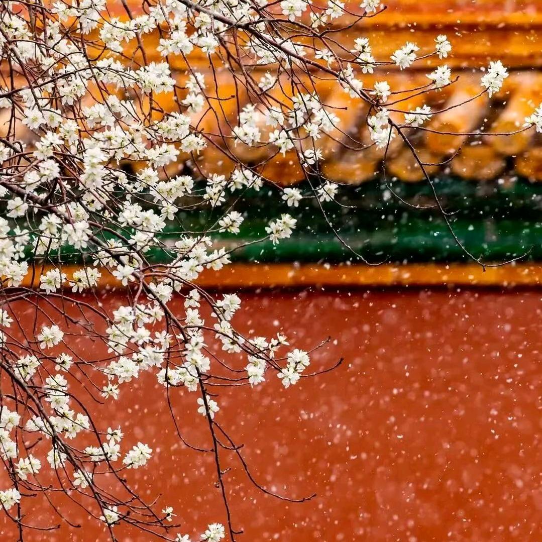 吹吹人间发财风