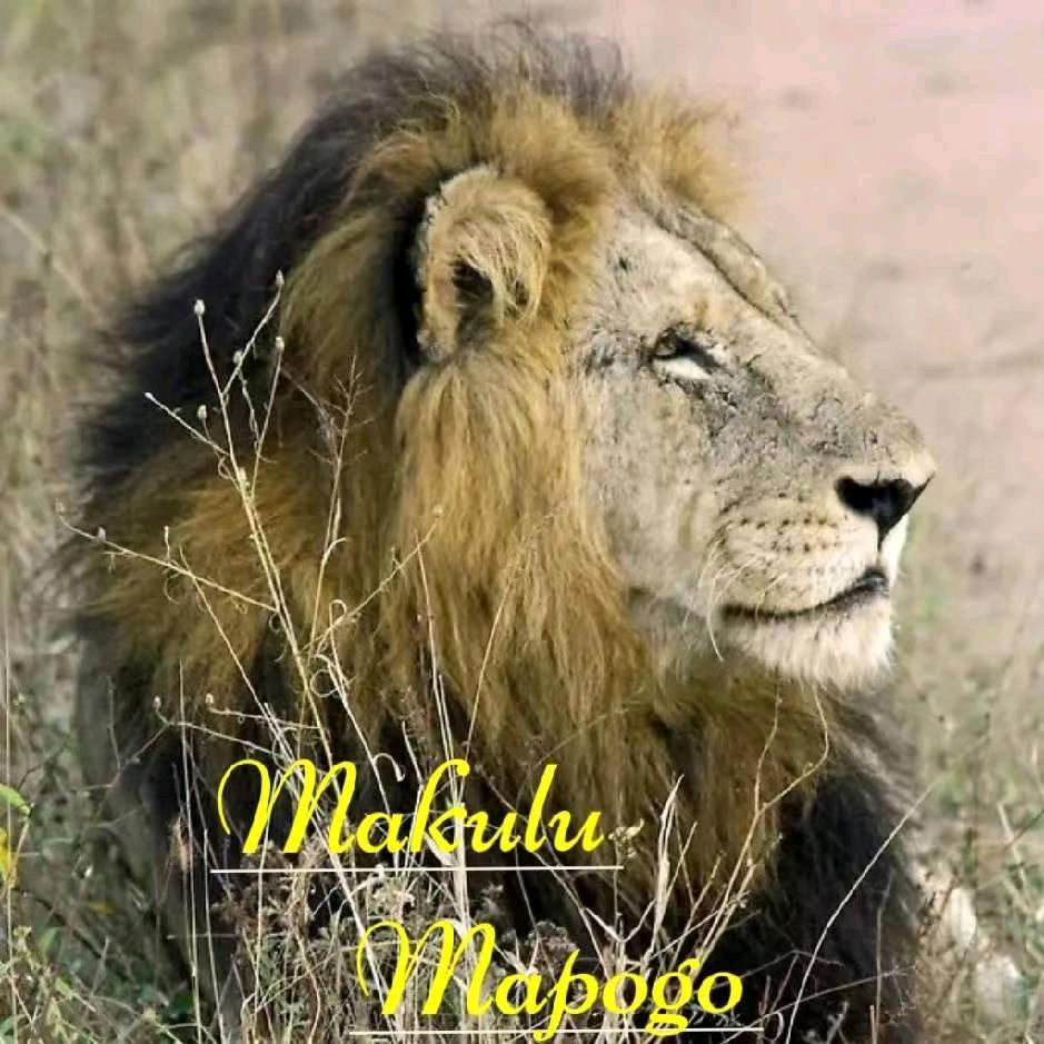 Ngalalalekha🐝🍂