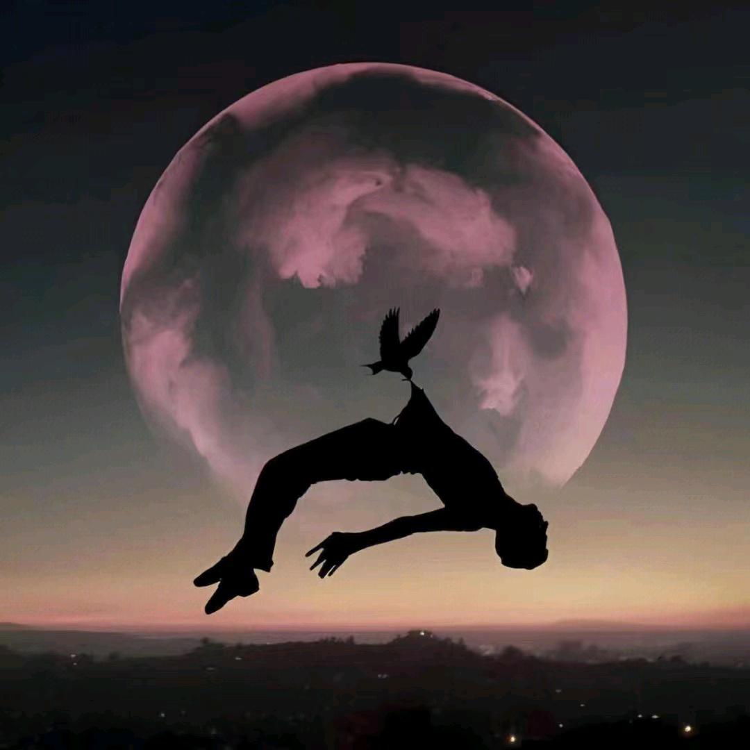 𝑳.𝑳✨艺术馆