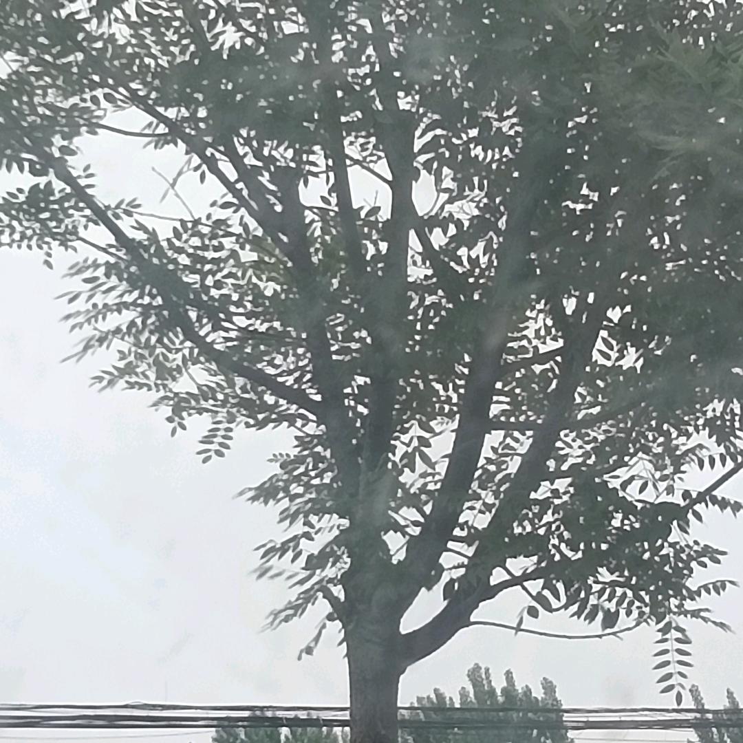 卷起风暴