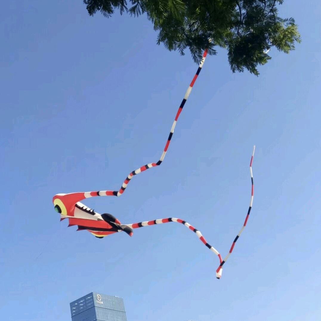 非诚勿扰1