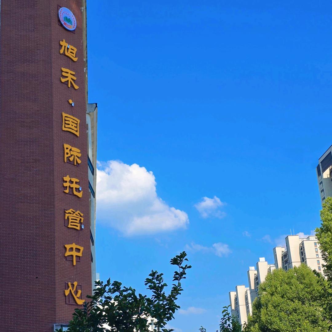 临泉旭禾国际托管