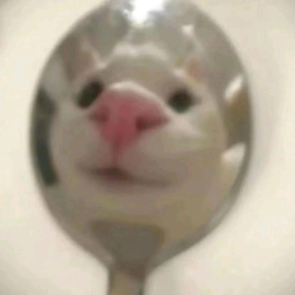 小龙美食