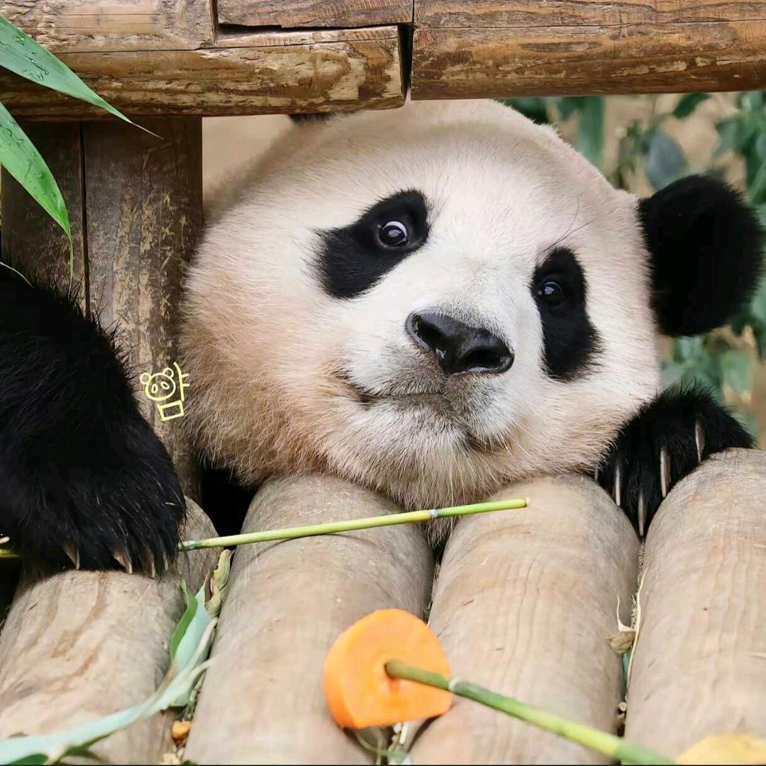 滨海玖碗冷鲜食材(广恩)