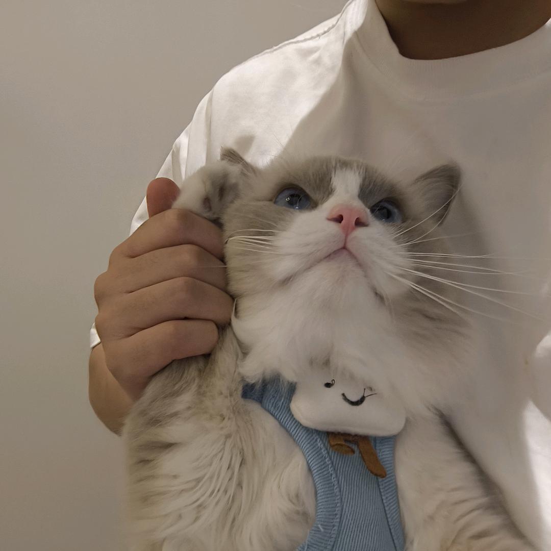 壹巴巴壹