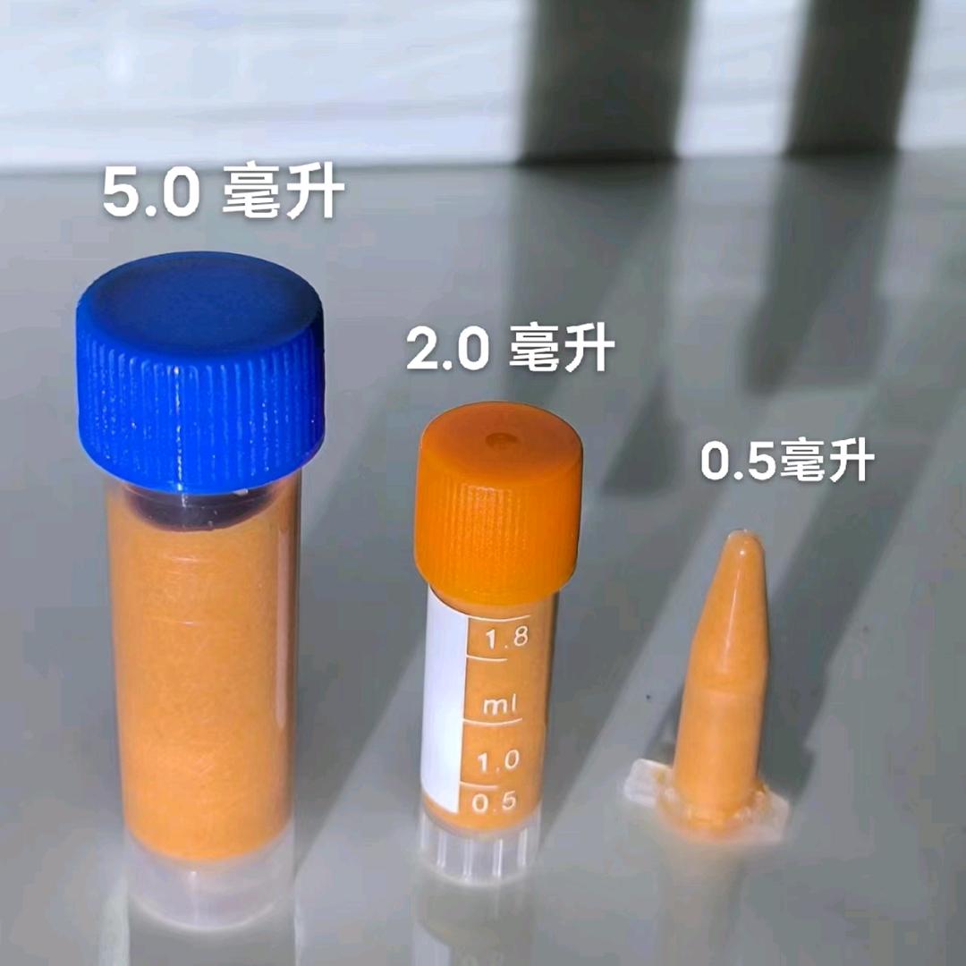 小响丰年虾
