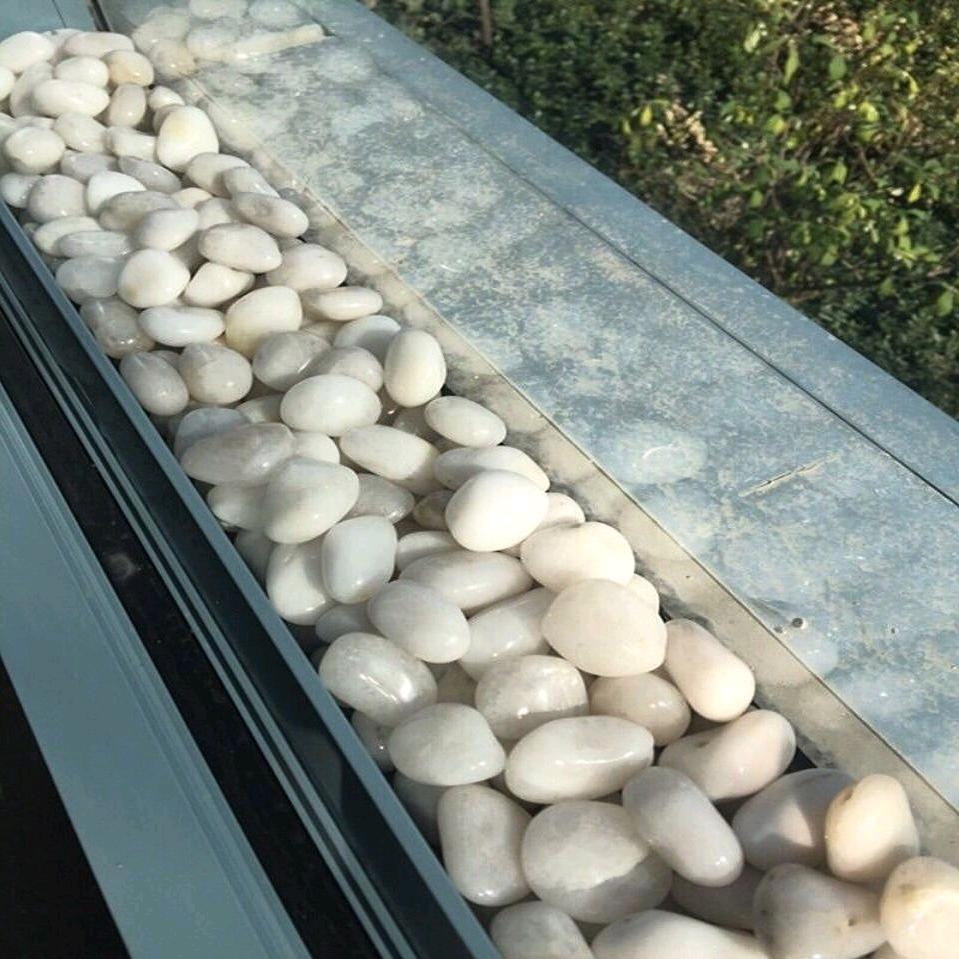 好物推荐官—可可