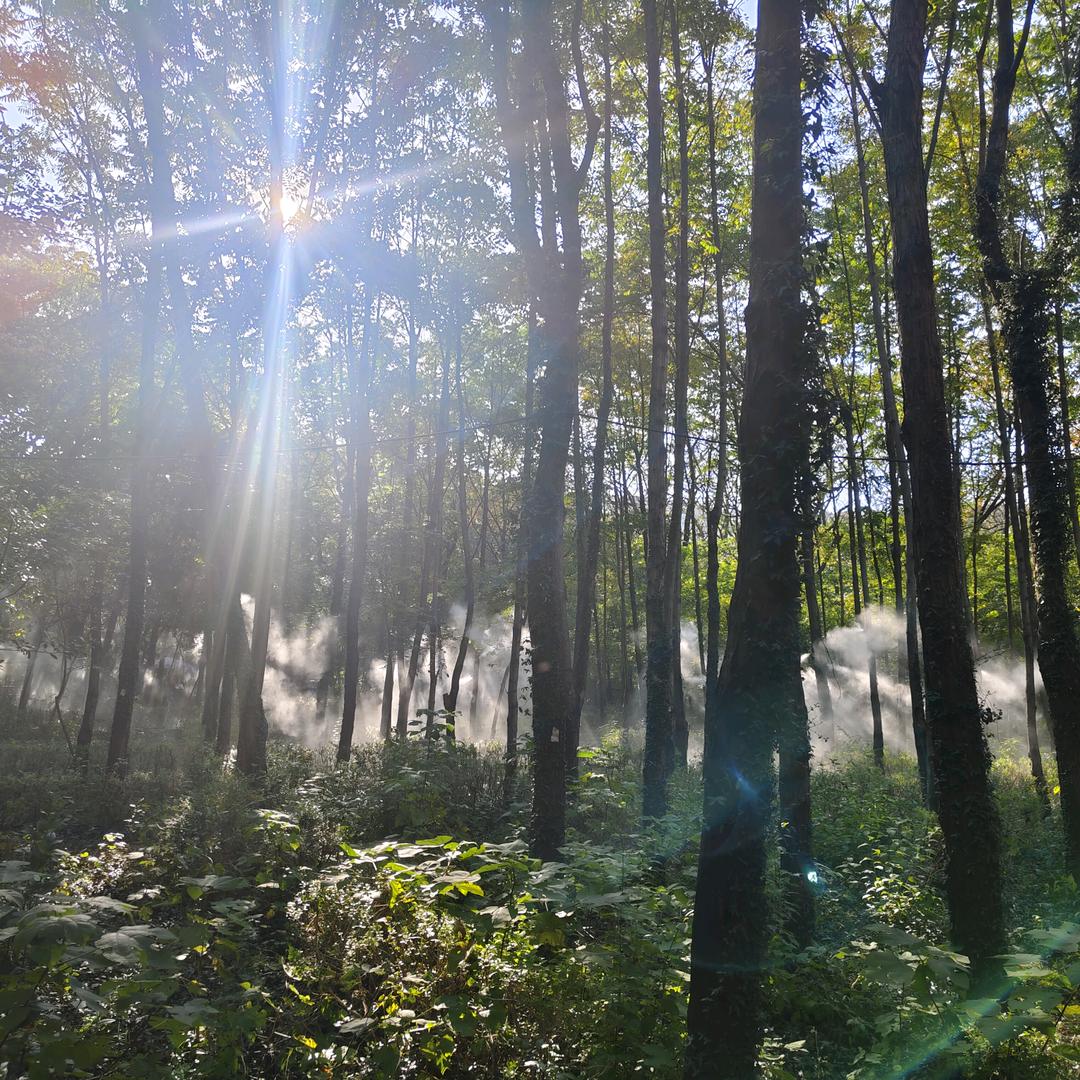 💰钱❥堡鼓鼓ღ