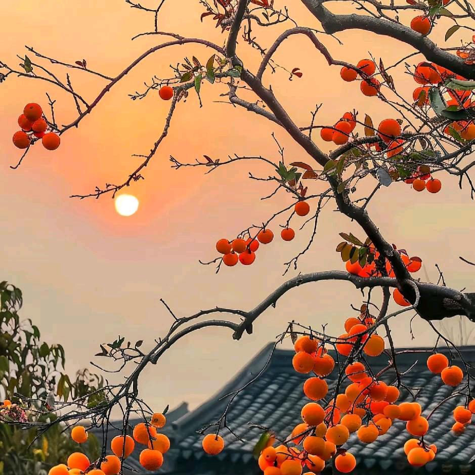江南