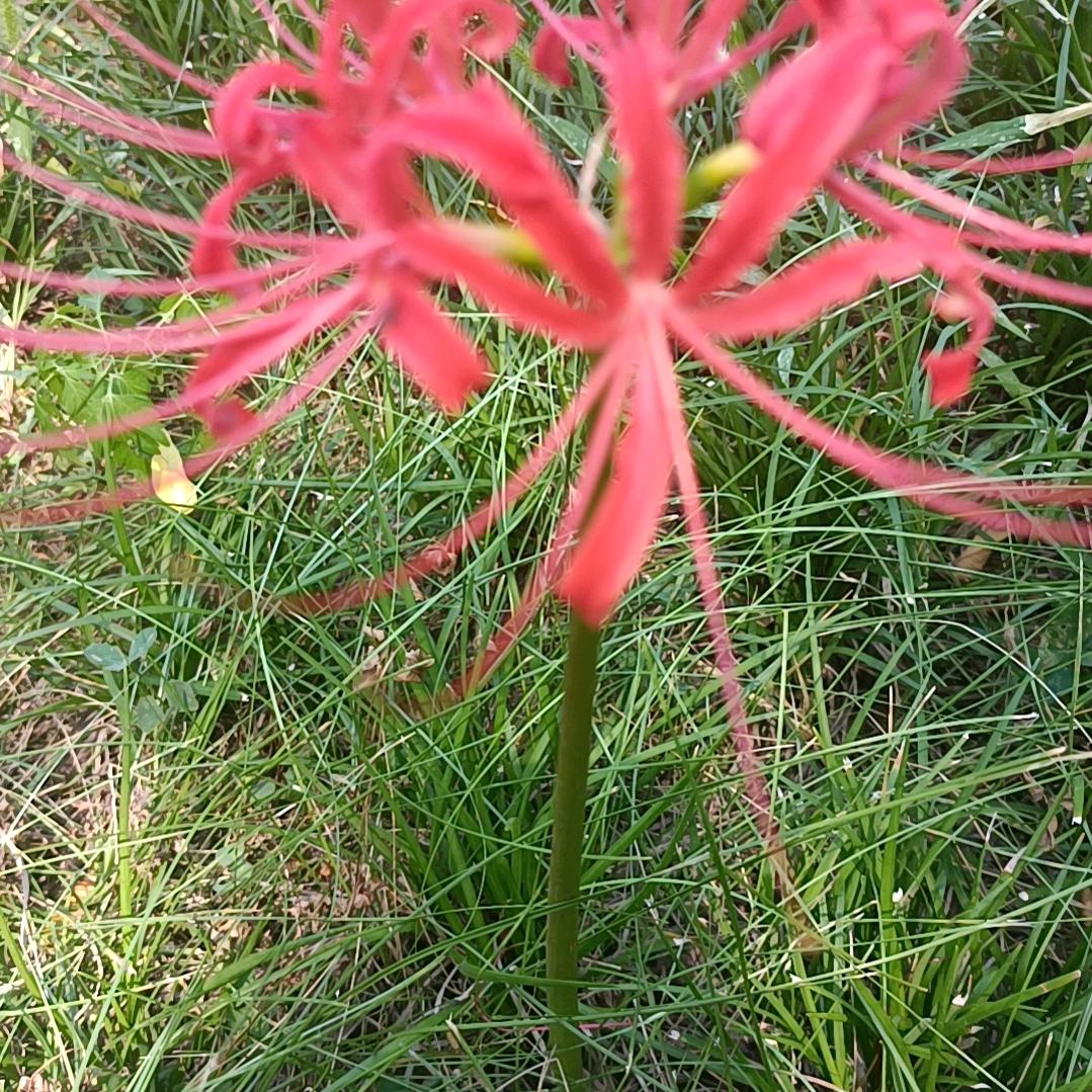 暖暖的春天