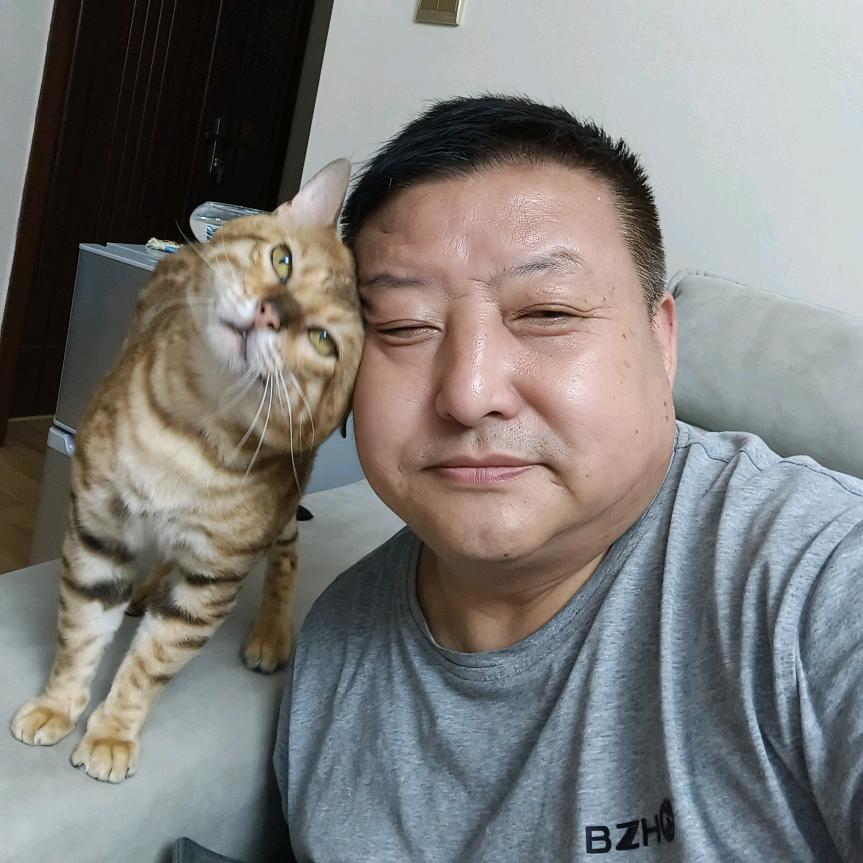 安庆猫爷