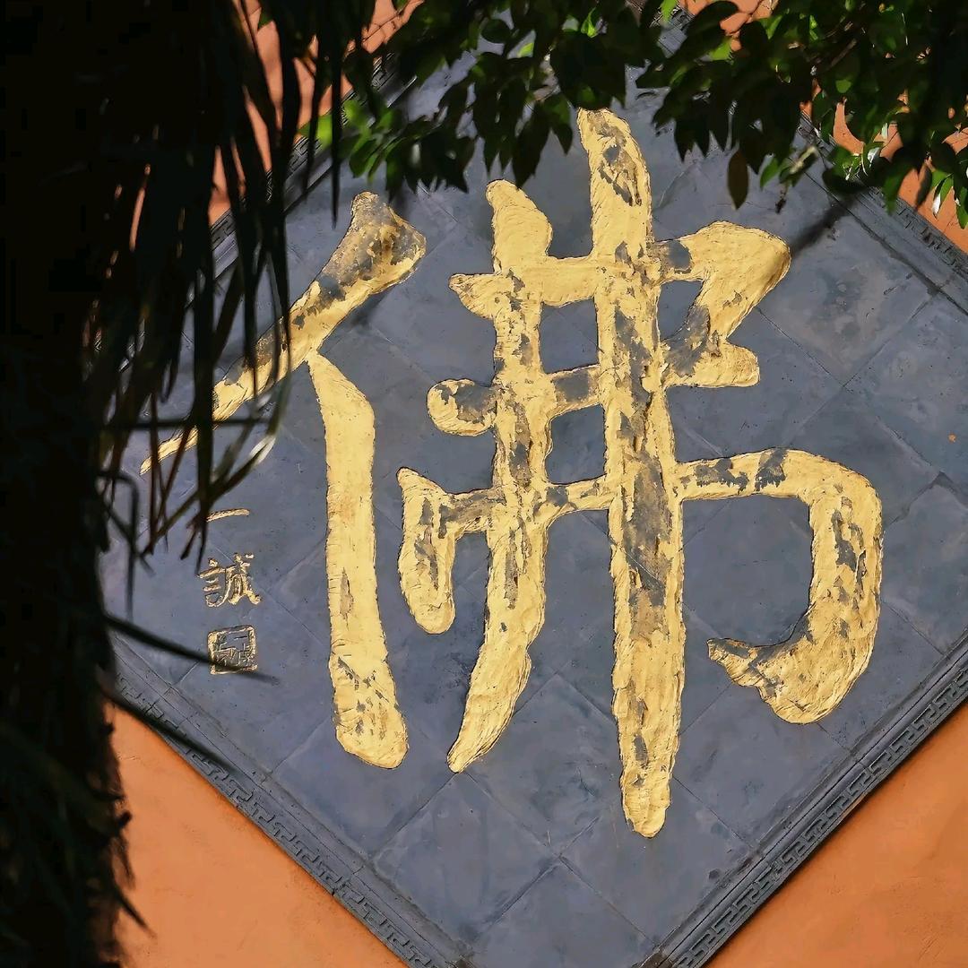 龙飞凤舞