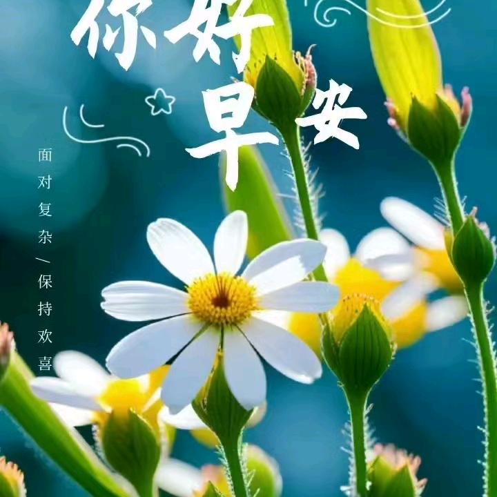 不再年轻，珍惜当下