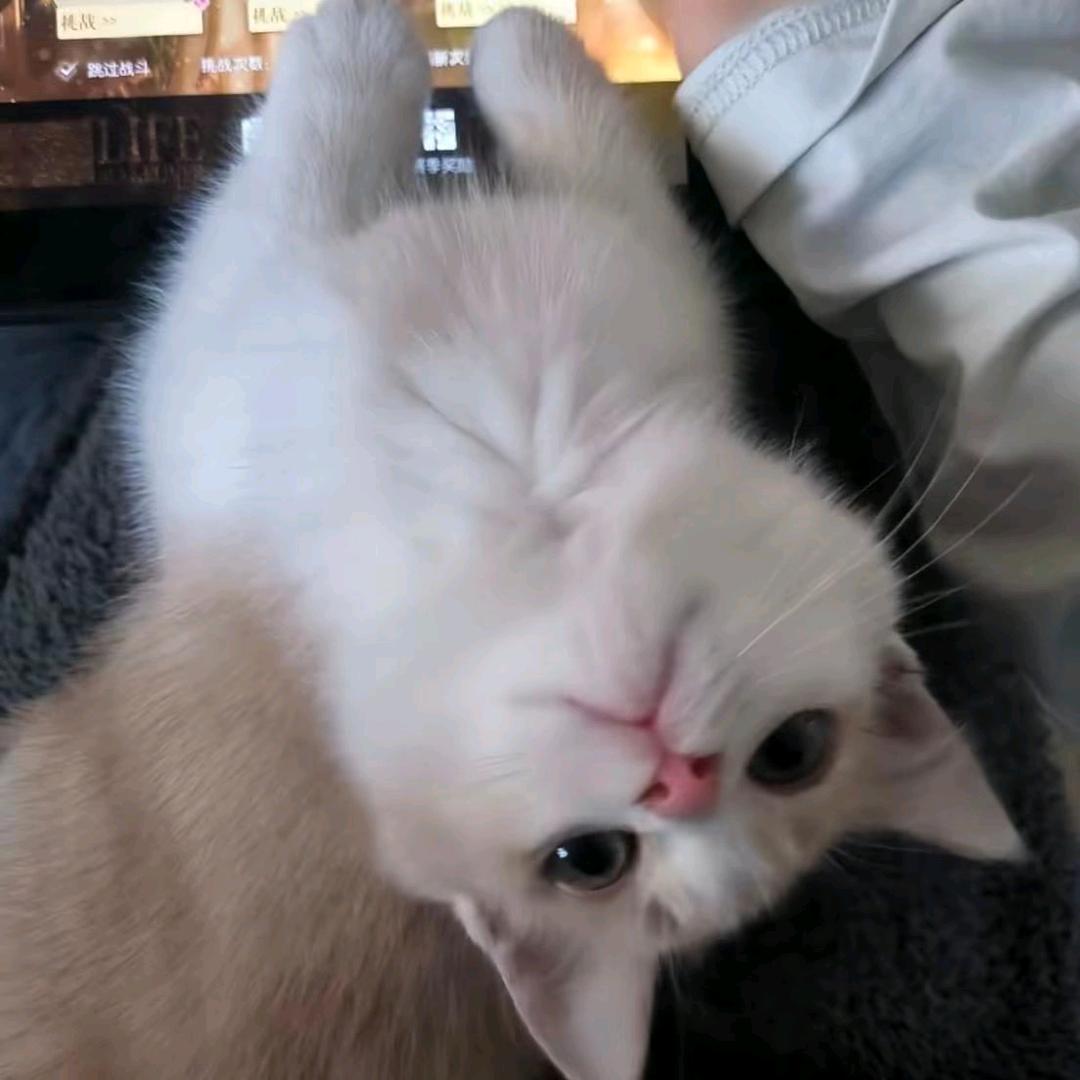 我们都抹不掉对方脸颊上的眼泪