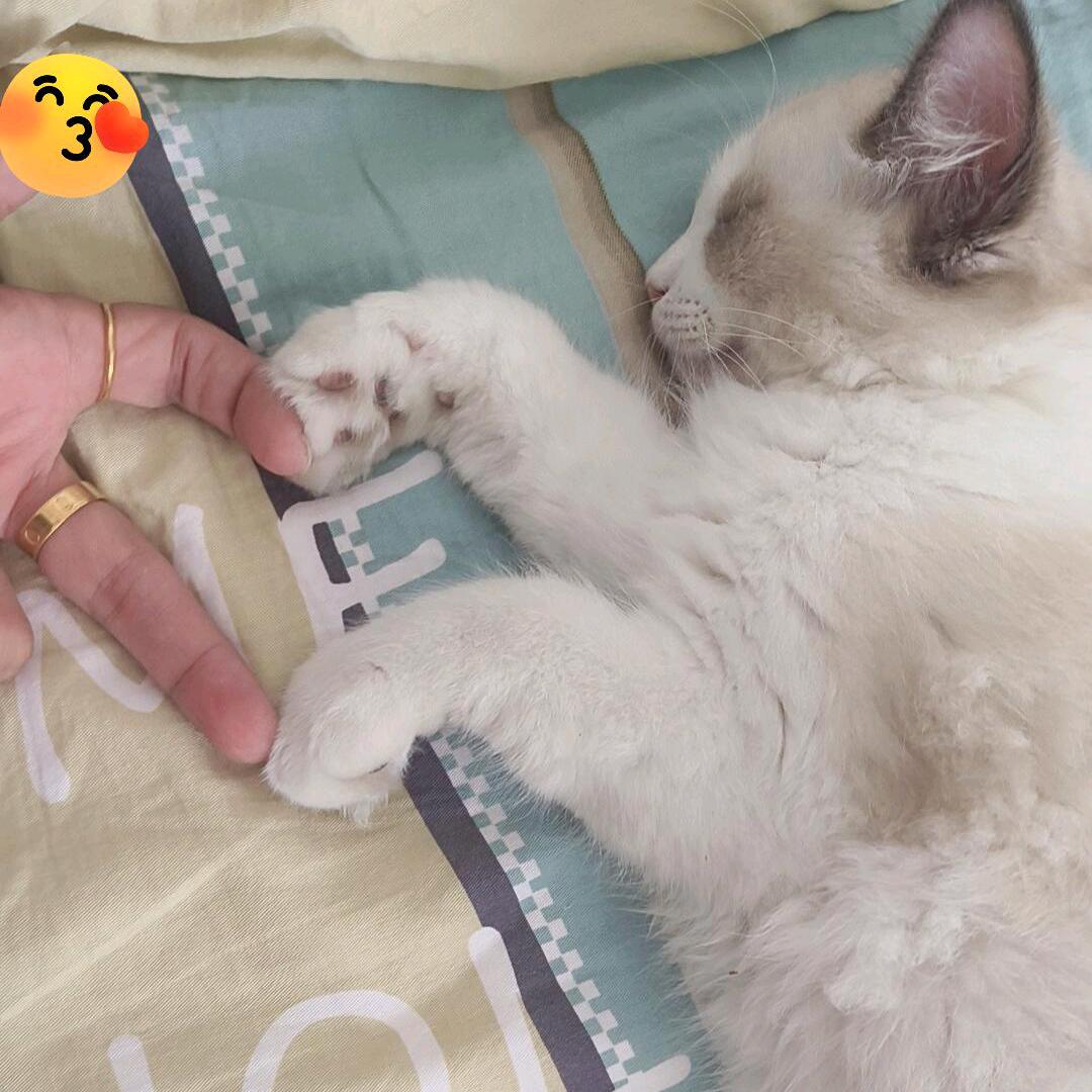 💦淡༢ོ然💦