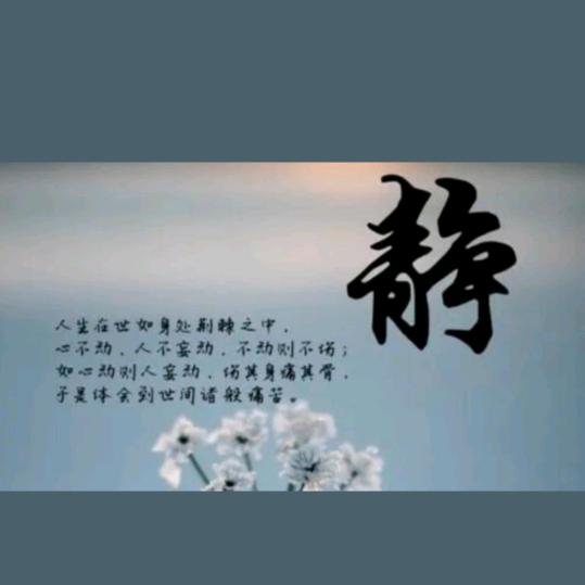 人生无悔