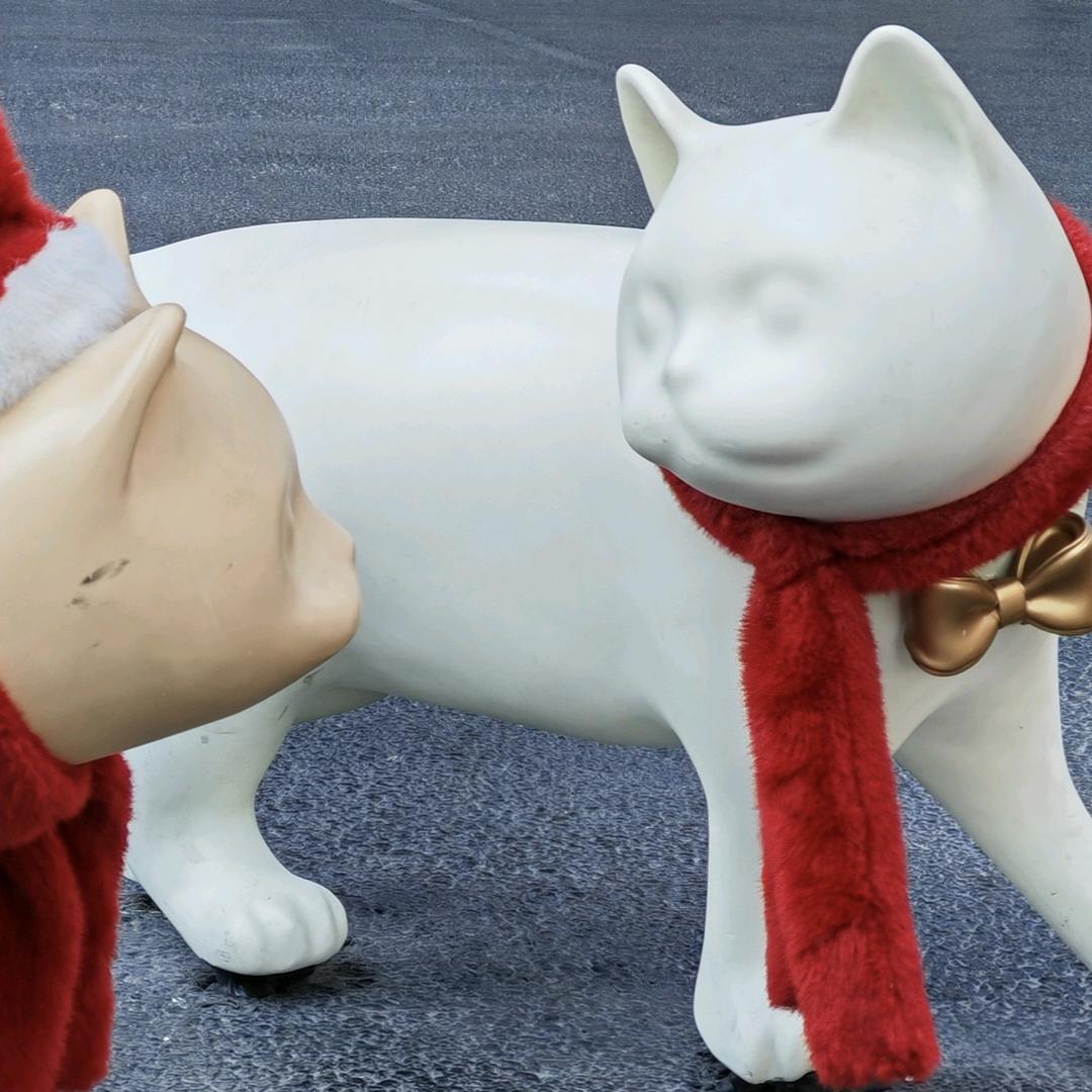 言智慧