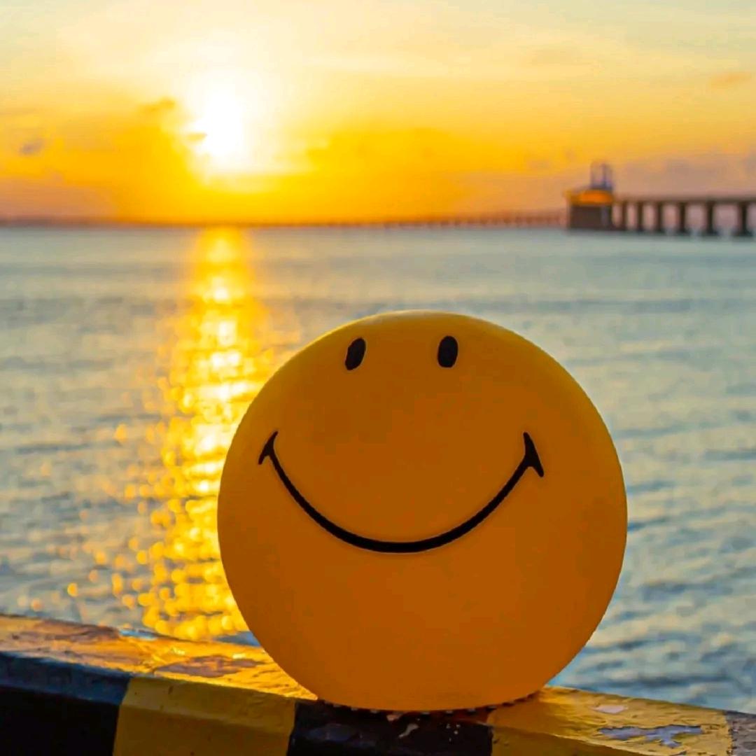 半价理想🚗💰