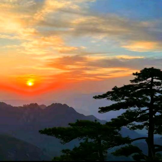 我是东哥的小迷妹