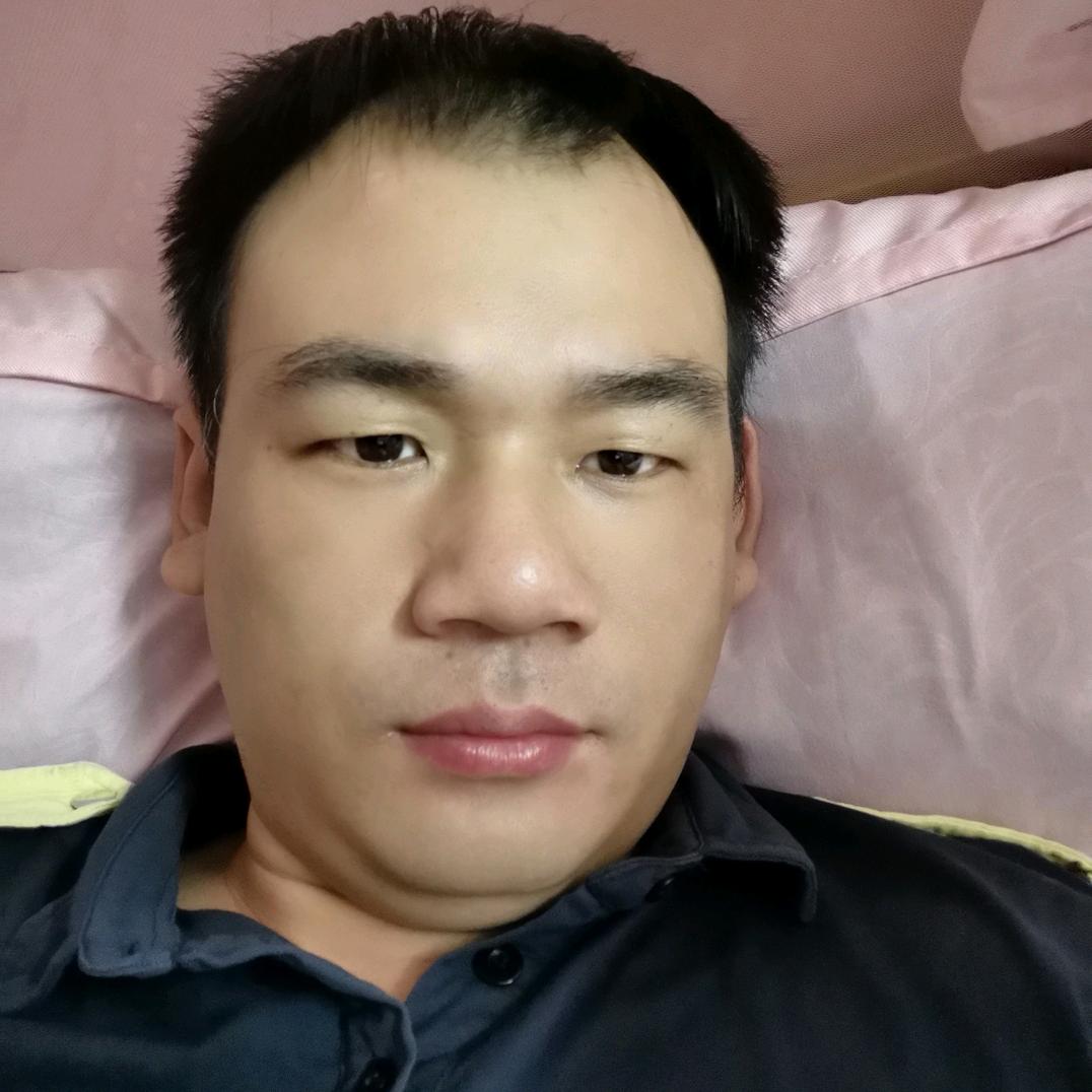 动画小说迷