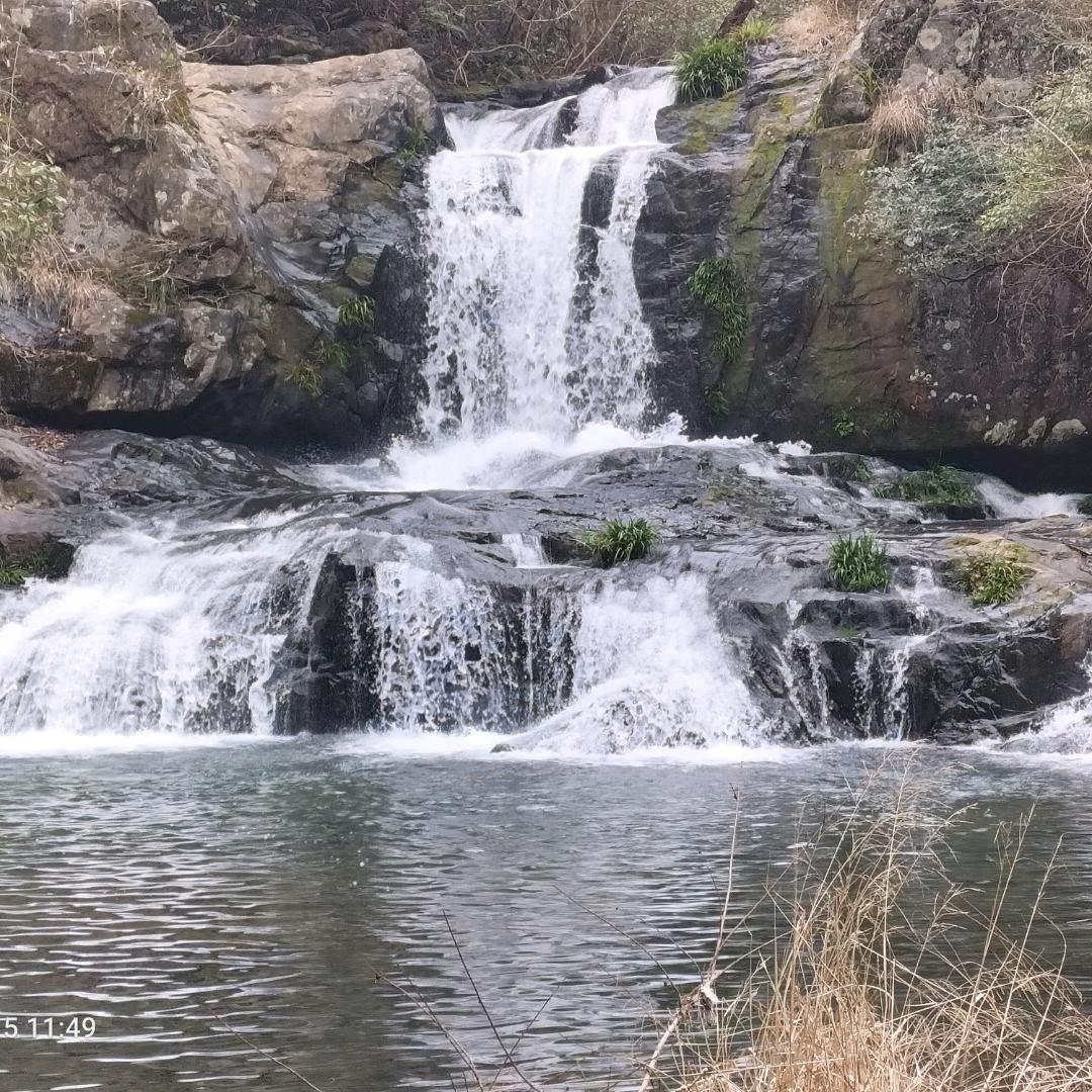 汪若星河🇨🇳