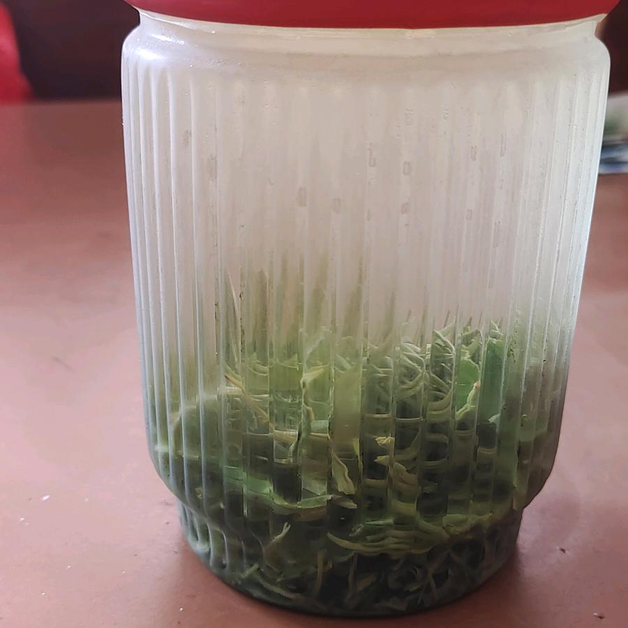 水满则溢